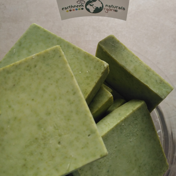 Moringa Soap | Face | Body | Hair
